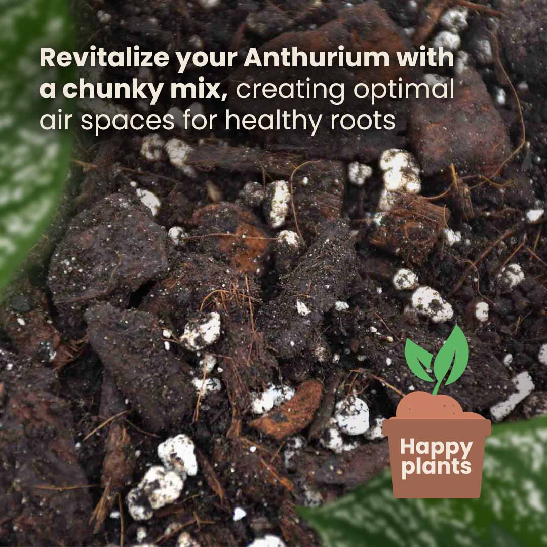 Terriccio per Anthurium