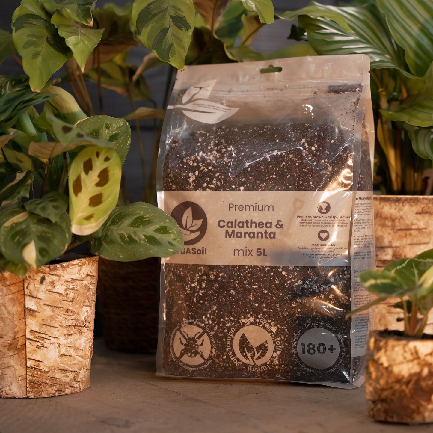 Tropical Jungle Welcome Bundle