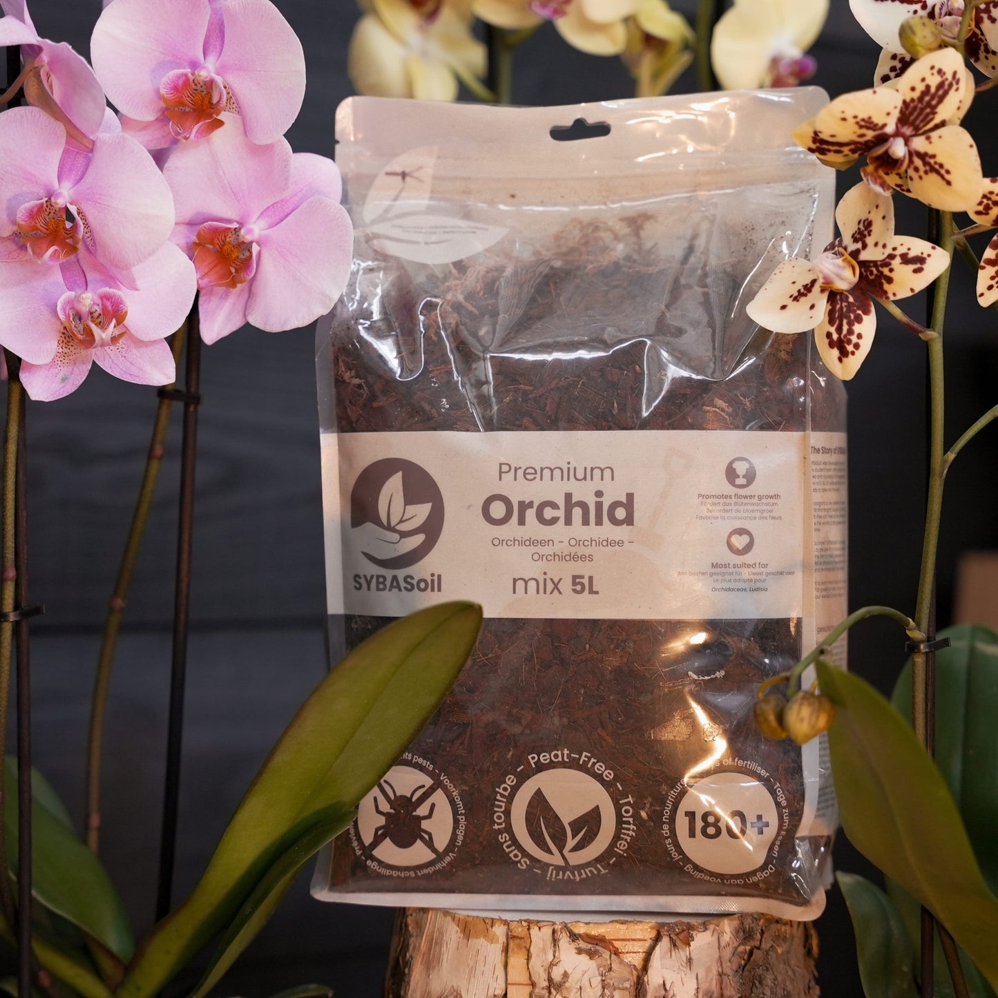 Terriccio per Orchidee