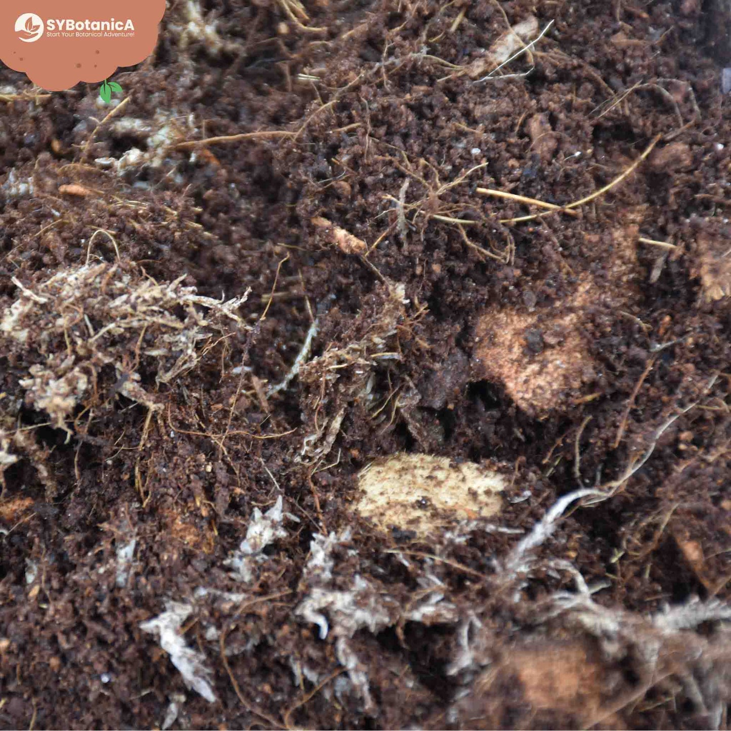 Terriccio per Terrario