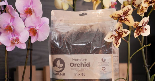 Orchid soil