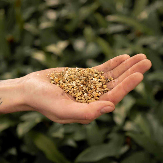 Vermiculite FAQ: Everything You Need to Know for Happy Plants
