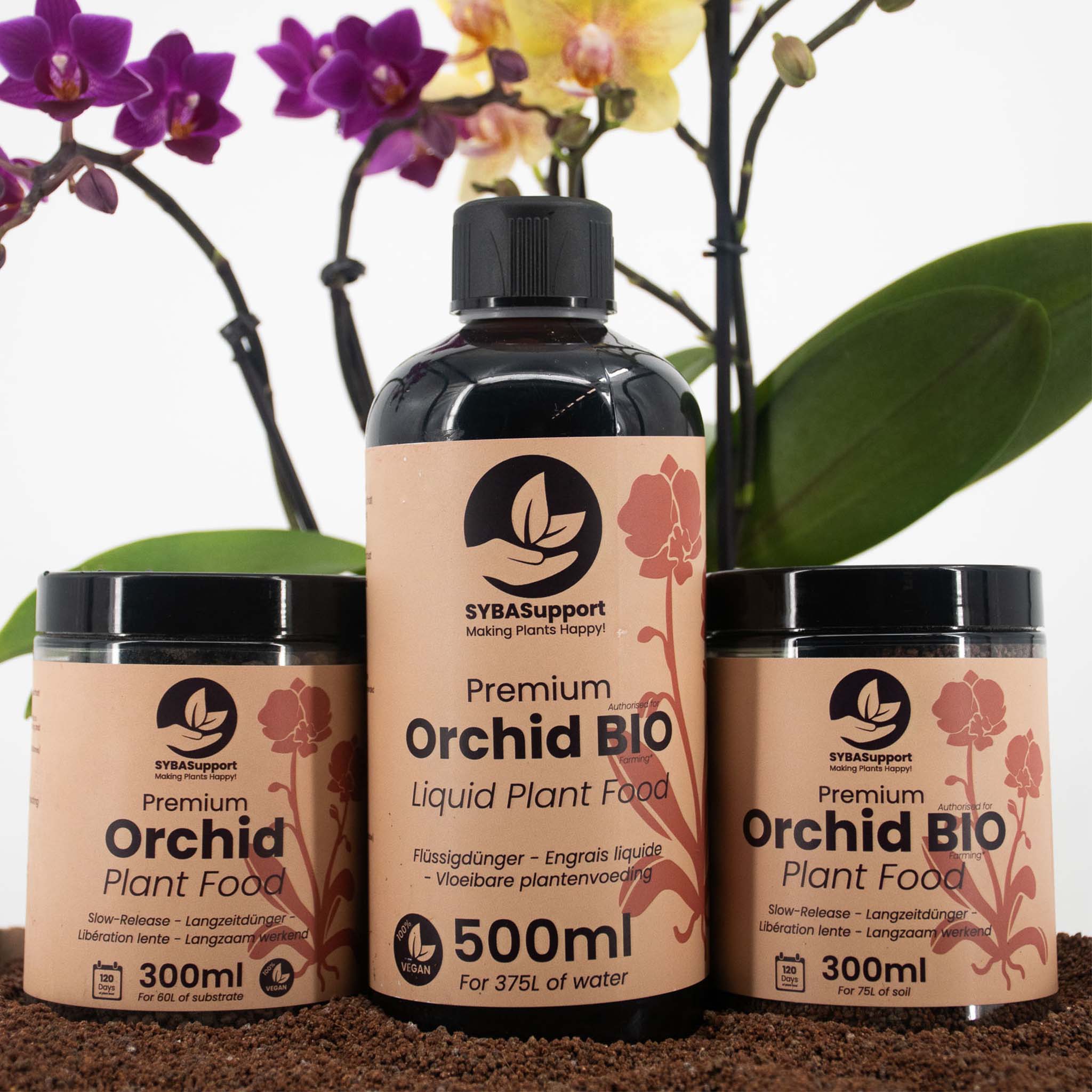 orchid plant food