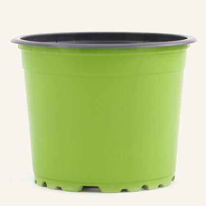 Vaso de viveiro verde