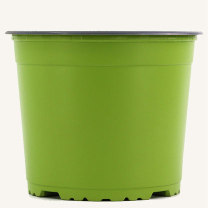 Vaso de viveiro verde