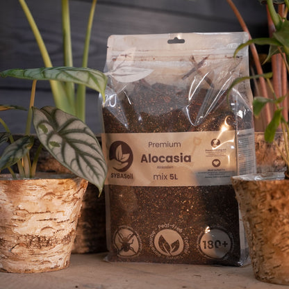 Tropical Jungle Welcome Bundle