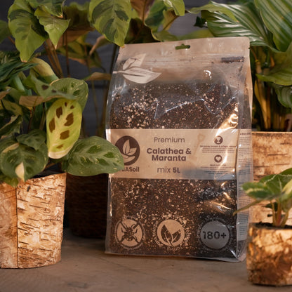 Tropical Jungle Welcome Bundle