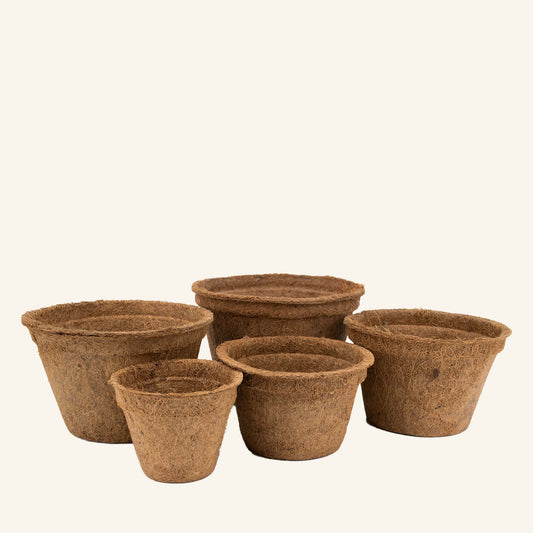 Coco pots