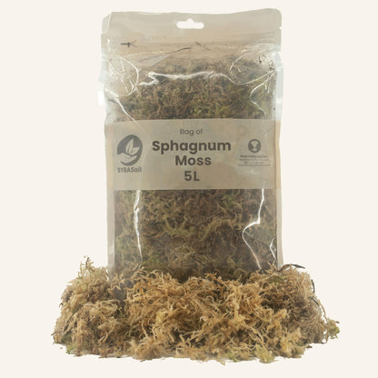 Sphagnum Moss