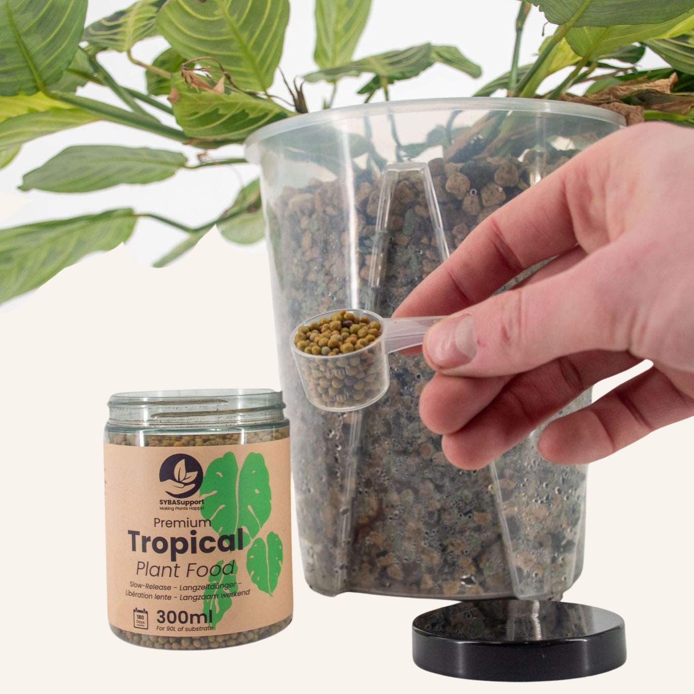 Orchid Slow-Release Plant Food