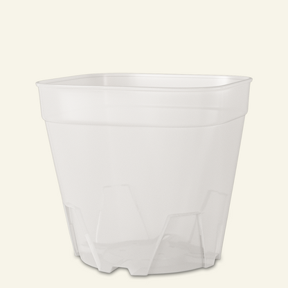 Clear Cacti & Succulent Plant Pot