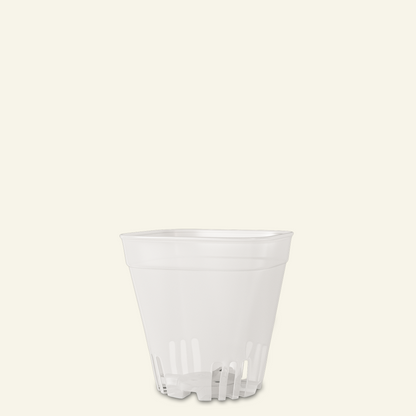 Clear Cacti & Succulent Plant Pot