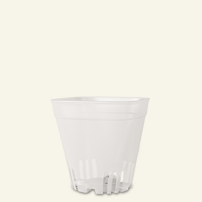 Clear Cacti & Succulent Plant Pot