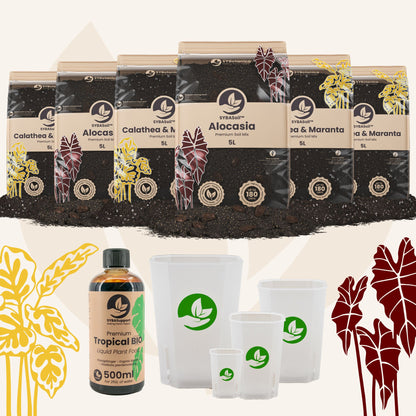 Tropical Jungle Welcome Bundle