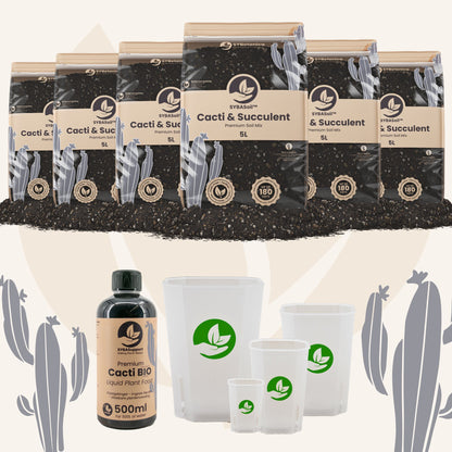 Cacti & Succulent Welcome Bundle