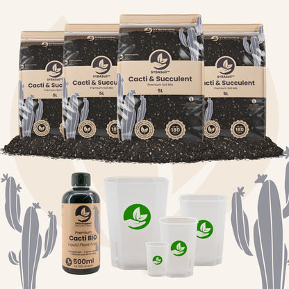 Cacti & Succulent Welcome Bundle