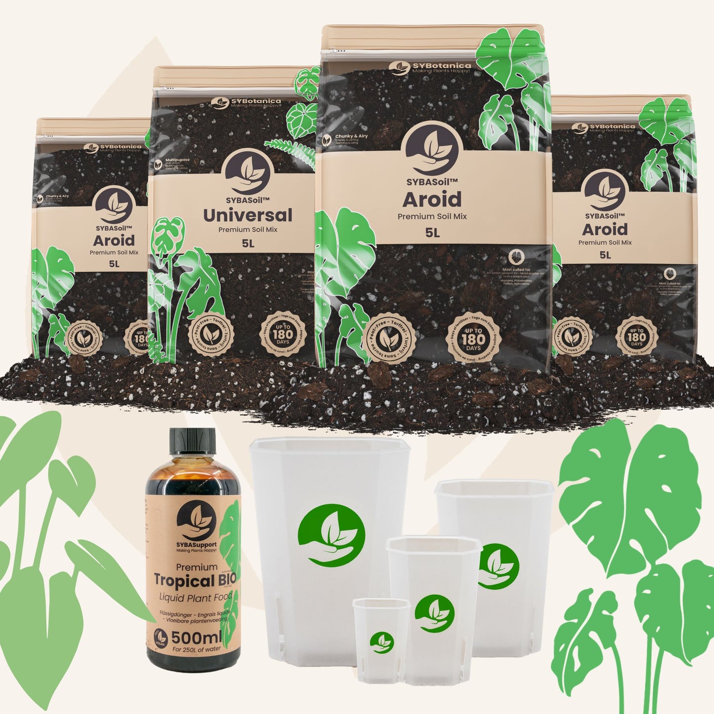 Monstera & Philodendron Welcome Bundle