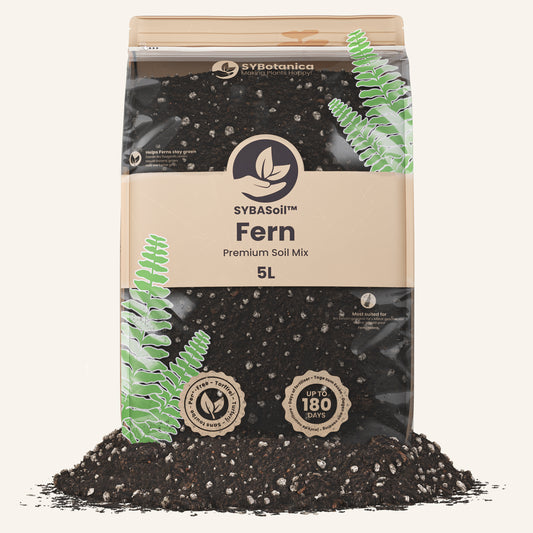 Fern Mix