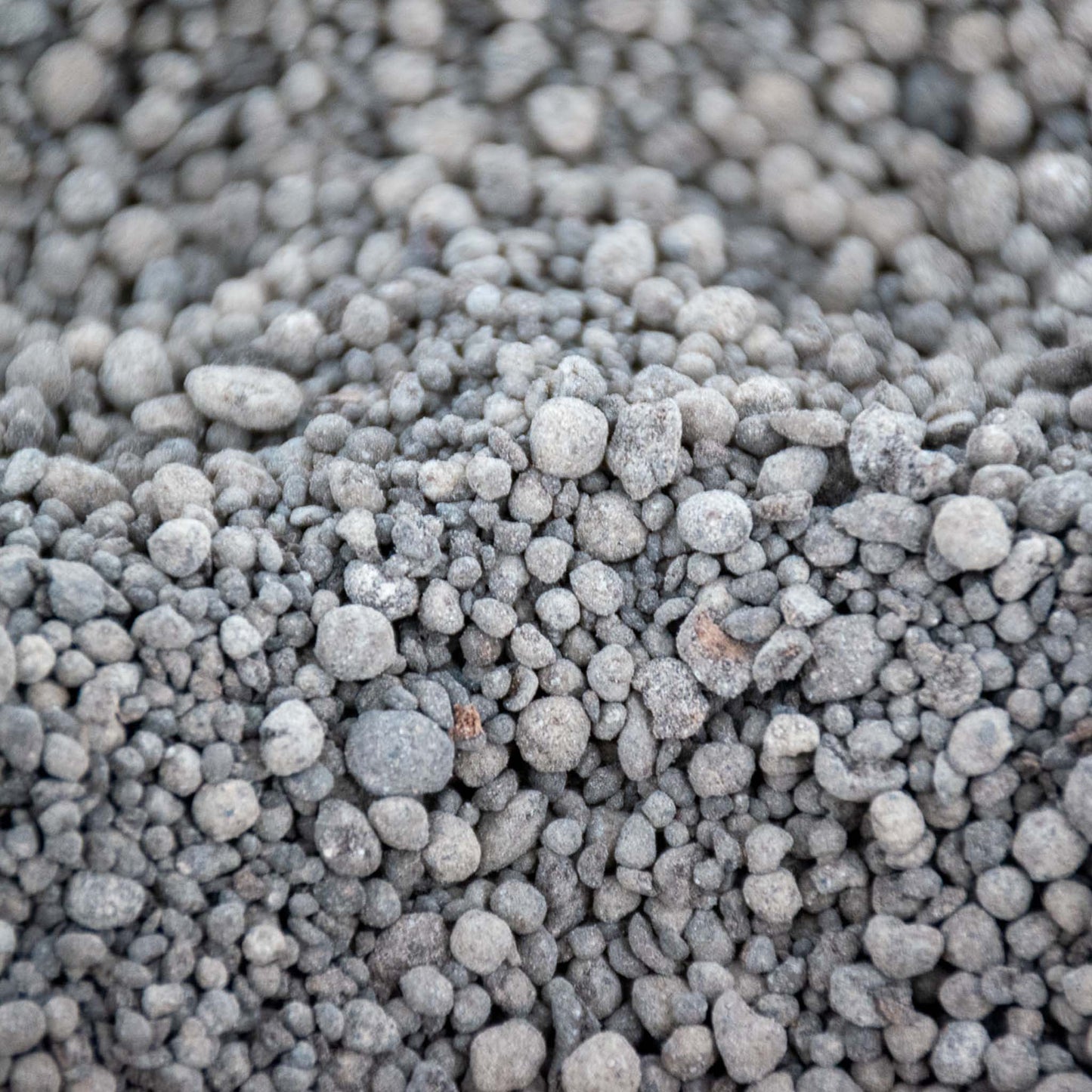 Orchid Slow-Release Plant Food