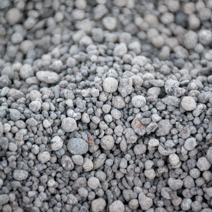 Orchid Slow-Release Plant Food