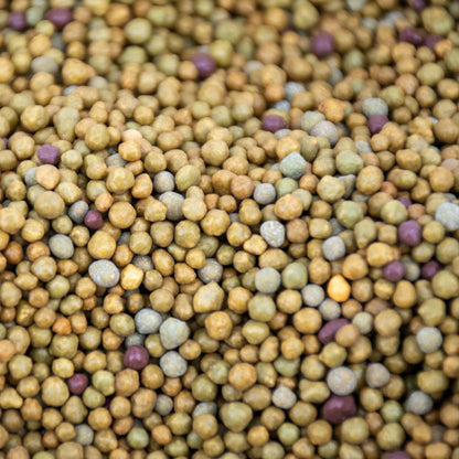 Tropical Slow-Release Plant Food