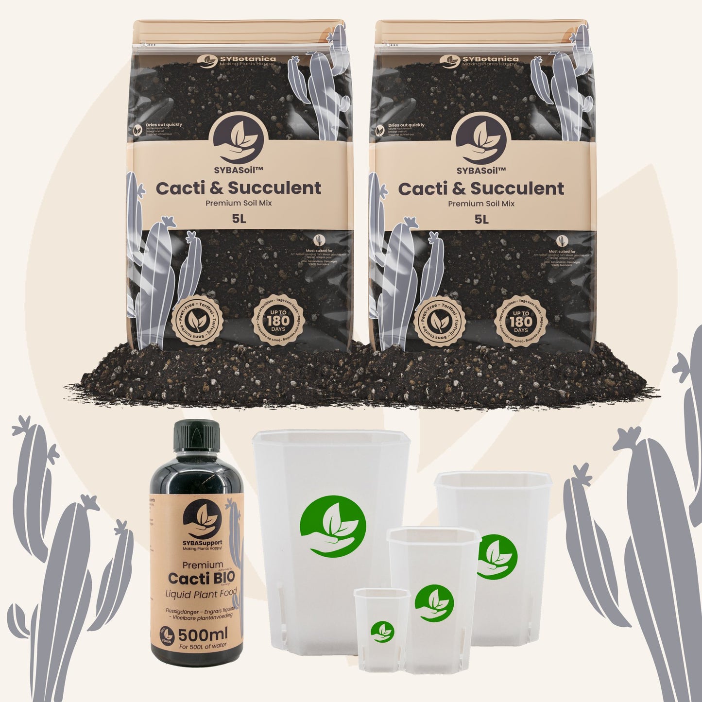 Cacti & Succulent Welcome Bundle