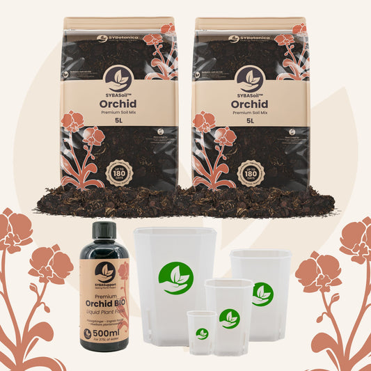 Orchid Welcome Bundle