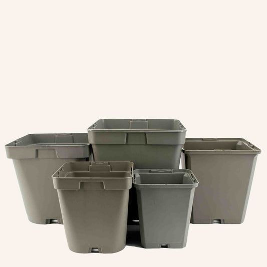 Grey Square Pots