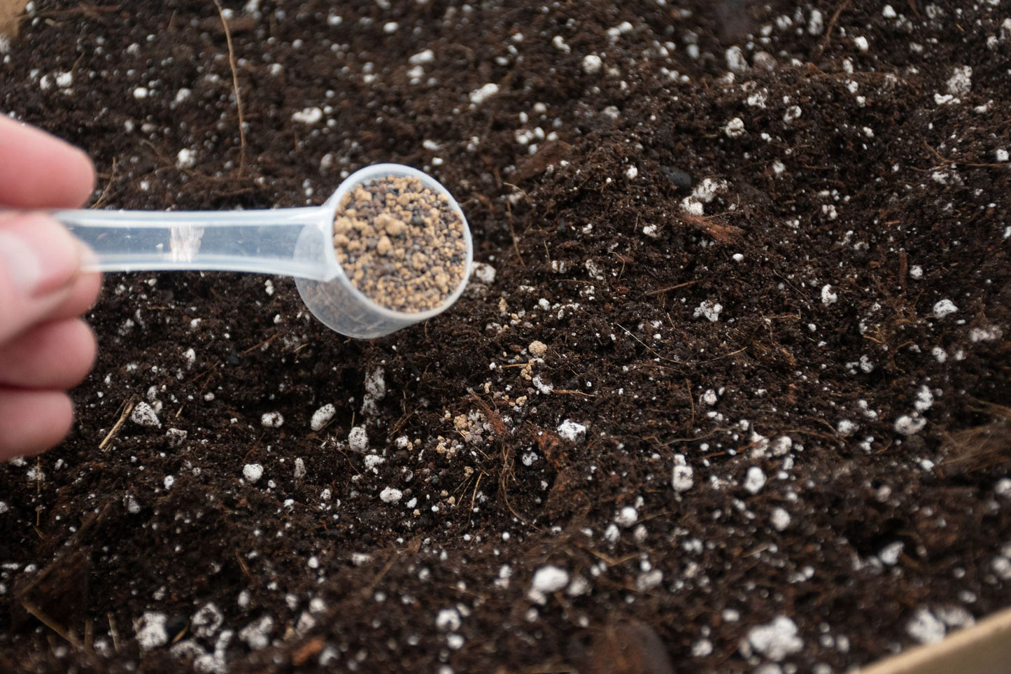Cacti BIO Slow-Release Plant Food