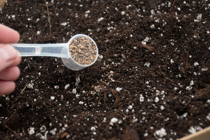 Cacti BIO Slow-Release Plant Food